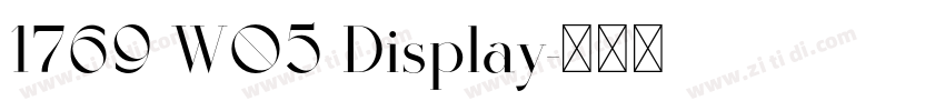 1769 W05 Display字体转换